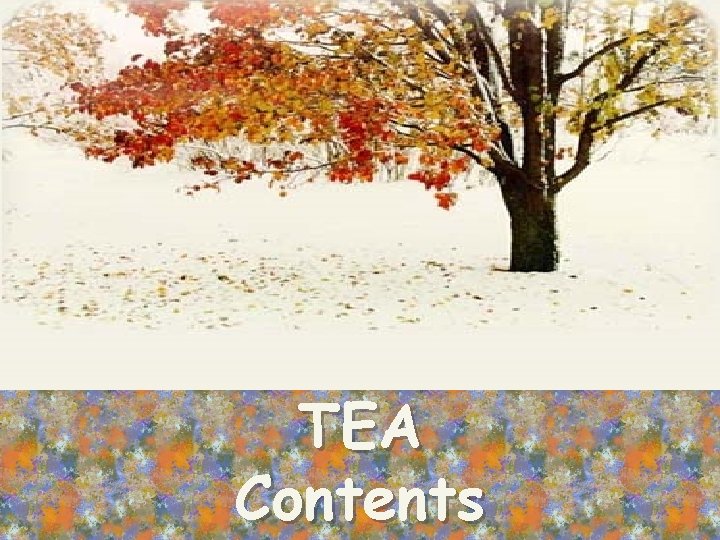 TEA Contents 