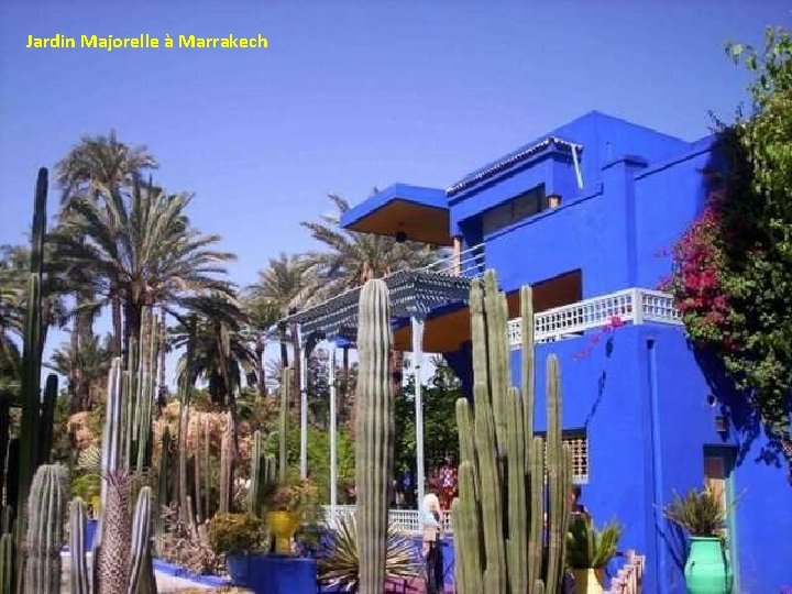 Jardin Majorelle à Marrakech 