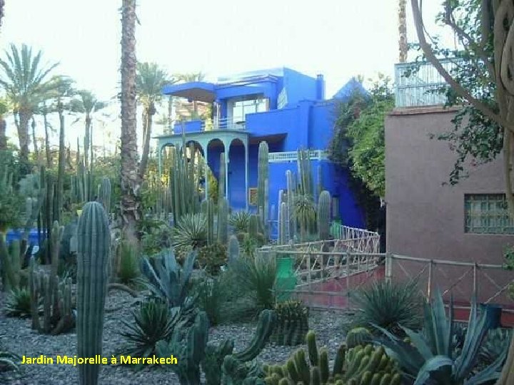 Jardin Majorelle à Marrakech 