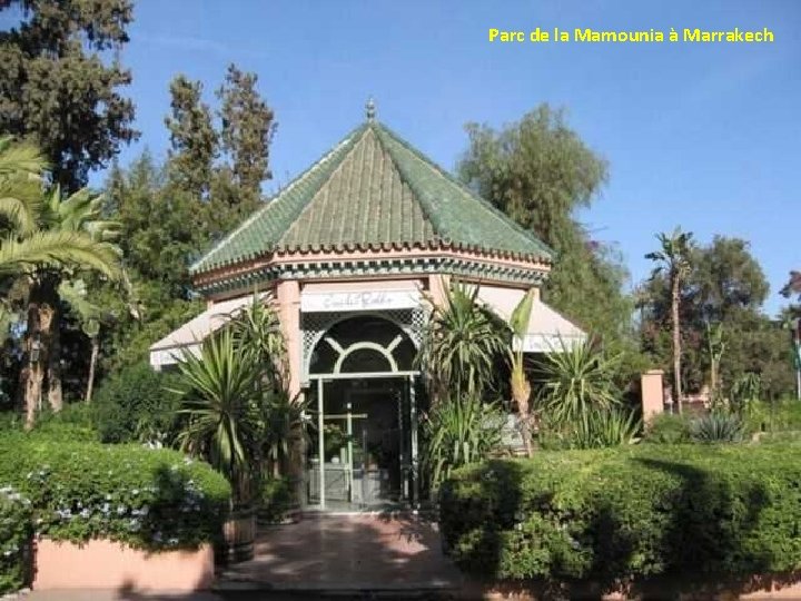 Parc de la Mamounia à Marrakech 