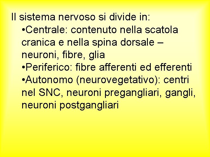 Il sistema nervoso si divide in: • Centrale: contenuto nella scatola cranica e nella