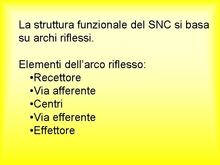 La struttura funzionale del SNC si basa su archi riflessi. Elementi dell’arco riflesso: •