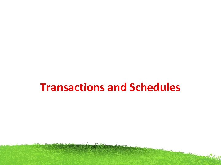 Transactions and Schedules 