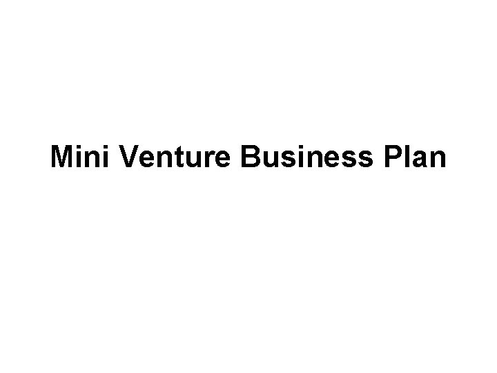 Mini Venture Business Plan 