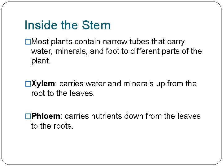 Inside the Stem �Most plants contain narrow tubes that carry water, minerals, and foot