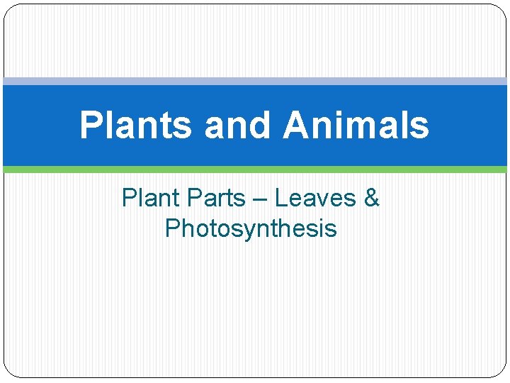 Plants and Animals Plant Parts – Leaves & Photosynthesis 