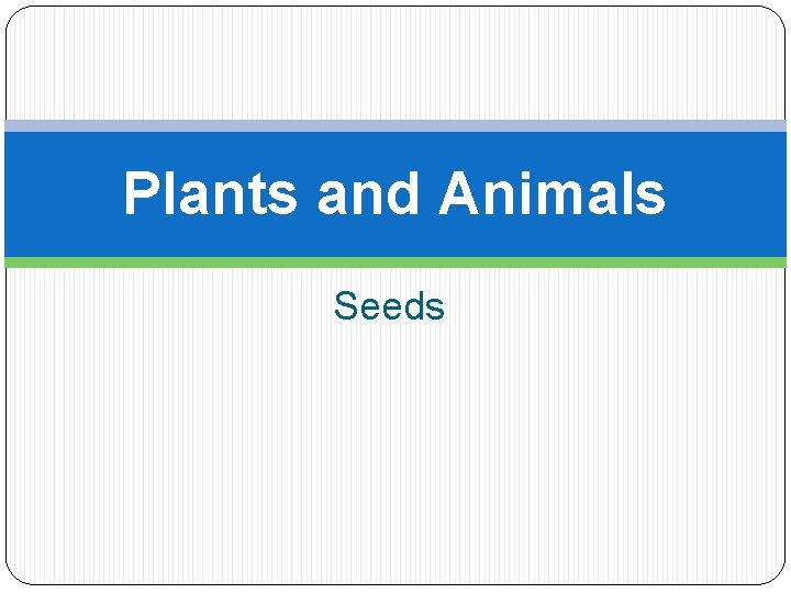 Plants and Animals Seeds 