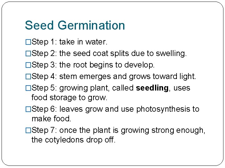 Seed Germination �Step 1: take in water. �Step 2: the seed coat splits due