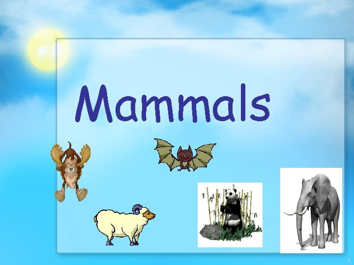 Mammals 1 