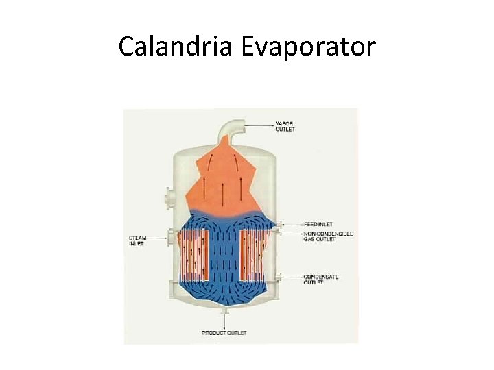 Calandria Evaporator 