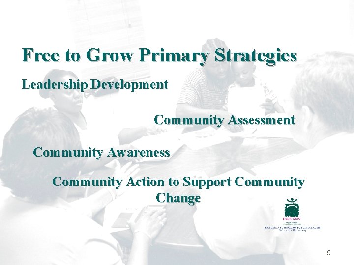 Free to Grow Primary Strategies Leadership Development Community Assessment Community Awareness Community Action to