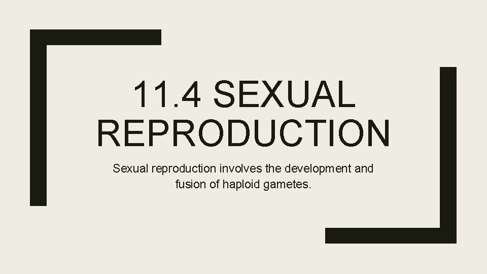 11. 4 SEXUAL REPRODUCTION Sexual reproduction involves the development and fusion of haploid gametes.