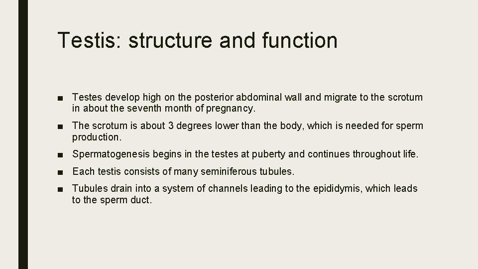 Testis: structure and function ■ Testes develop high on the posterior abdominal wall and