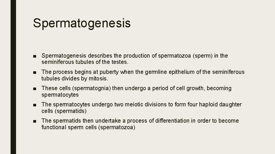 Spermatogenesis ■ Spermatogenesis describes the production of spermatozoa (sperm) in the seminiferous tubules of