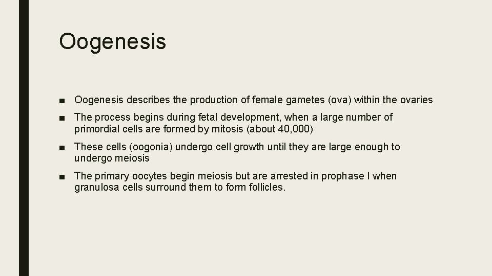 Oogenesis ■ Oogenesis describes the production of female gametes (ova) within the ovaries ■