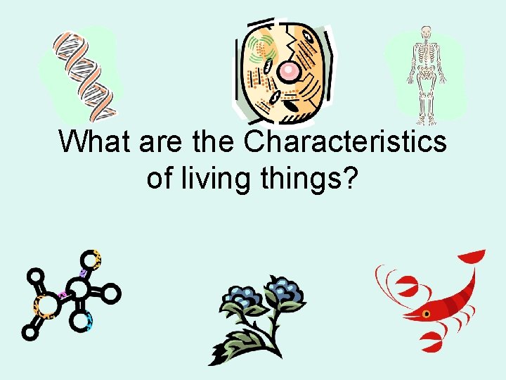 What are the Characteristics of living things? 