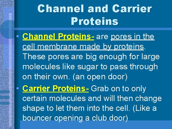 Channel and Carrier Proteins • Channel Proteins- are pores in the cell membrane made