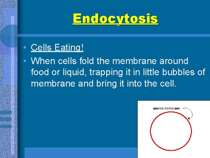 Endocytosis • Cells Eating! • When cells fold the membrane around food or liquid,