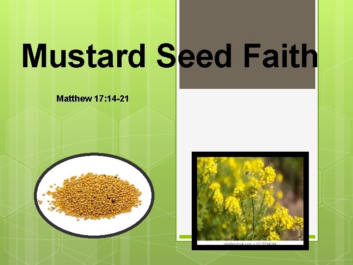 Mustard Seed Faith Matthew 17: 14 -21 