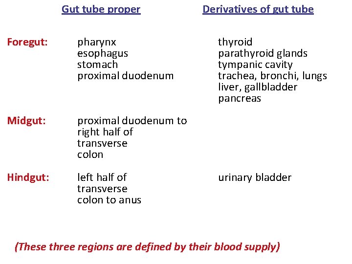 Gut tube proper Foregut: pharynx esophagus stomach proximal duodenum Midgut: proximal duodenum to right