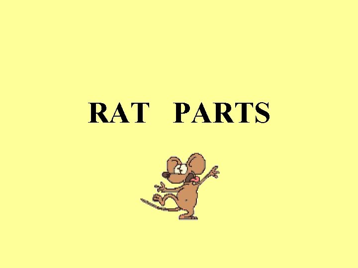 RAT PARTS 