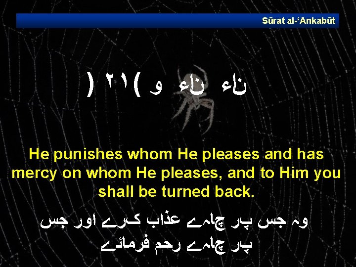 Sūrat al ‘Ankabūt ) ٢١( ﻥﺍﺀ ﻭ He punishes whom He pleases and has