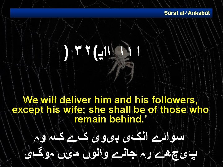 Sūrat al ‘Ankabūt ) ٣٢( ﺍ ﺍﺍﻳ We will deliver him and his followers,