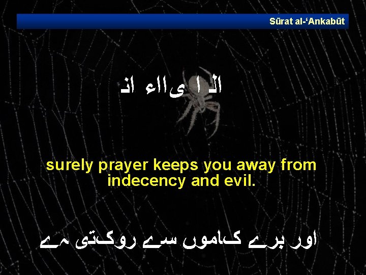 Sūrat al ‘Ankabūt ﺍﻟ ﺍ ﻯ ﺍﺍﺀ ﺍﻨ surely prayer keeps you away from