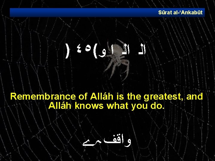 Sūrat al ‘Ankabūt ) ٤٥( ﺍﻟ ﺍﻟ ﺍ ﻭ Remembrance of Alláh is the