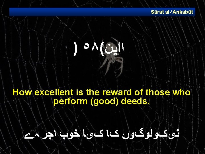 Sūrat al ‘Ankabūt ) ٥٨( ﺍﺍﻳﻦ How excellent is the reward of those who