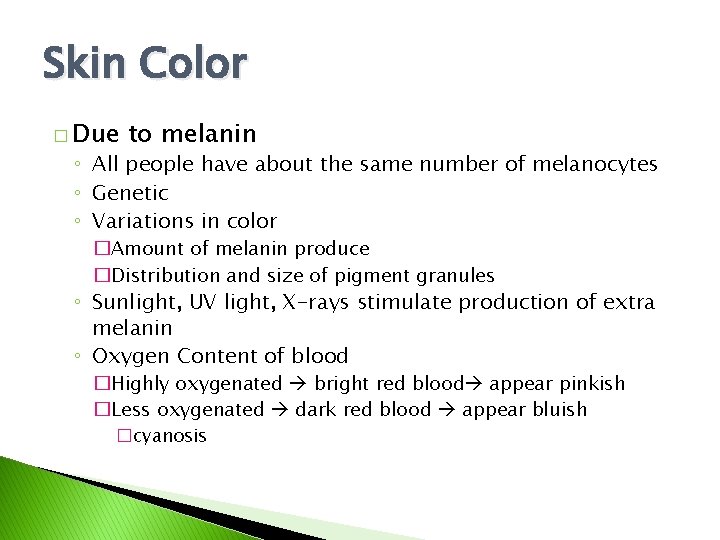 Skin Color � Due to melanin ◦ All people have about the same number Skin Color � Due to melanin ◦ All people have about the same number