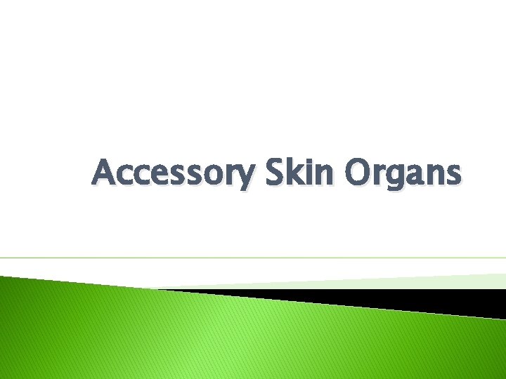 Accessory Skin Organs Accessory Skin Organs