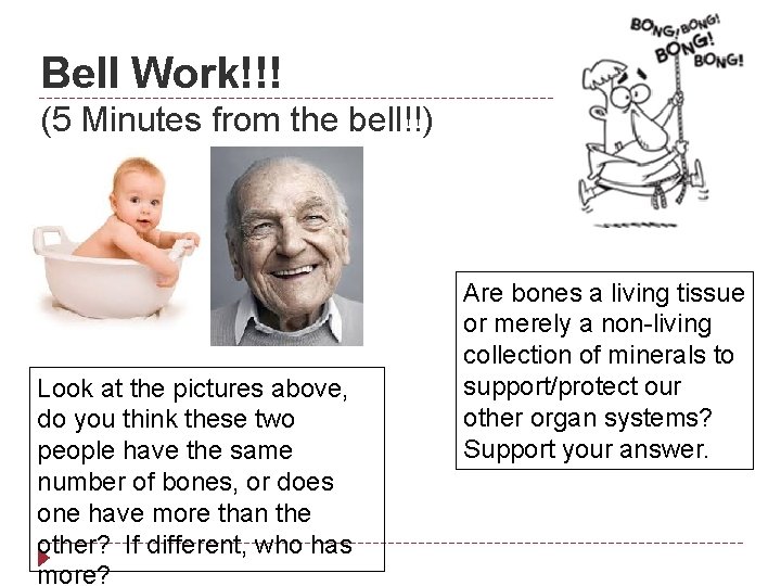 Bell Work!!! (5 Minutes from the bell!!) Look at the pictures above, do you