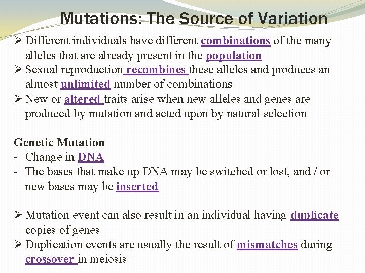 Mutations: The Source of Variation Ø Different individuals have different combinations of the many