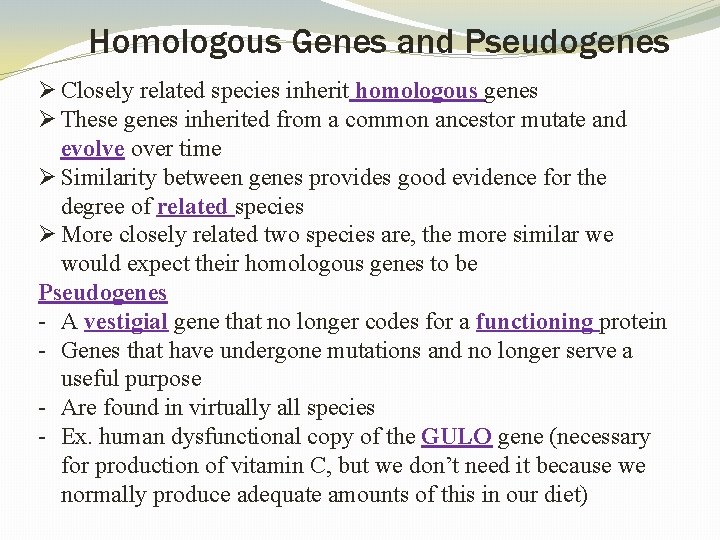 Homologous Genes and Pseudogenes Ø Closely related species inherit homologous genes Ø These genes