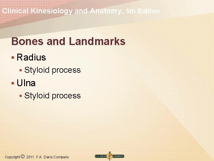 Clinical Kinesiology and Anatomy, 5 th Edition Bones and Landmarks § Radius § Styloid