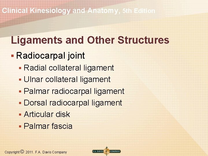Clinical Kinesiology and Anatomy, 5 th Edition Ligaments and Other Structures § Radiocarpal joint