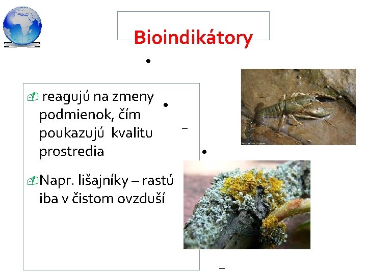 Bioindikátory - reagujú na zmeny podmienok, čím poukazujú kvalitu prostredia Kliknúť na editáciu formátu