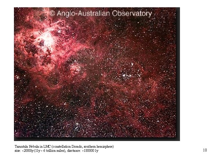 Tarantula Nebula in LMC (constellation Dorado, southern hemisphere) size: ~2000 ly (1 ly ~