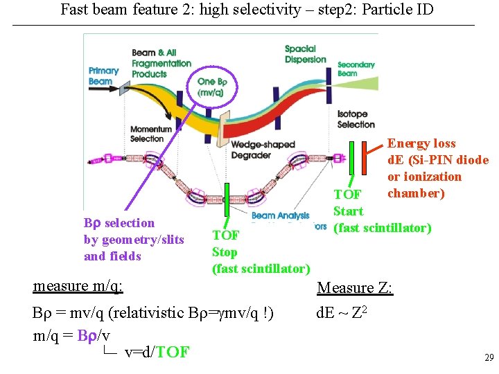 Fast beam feature 2: high selectivity – step 2: Particle ID Energy loss d.