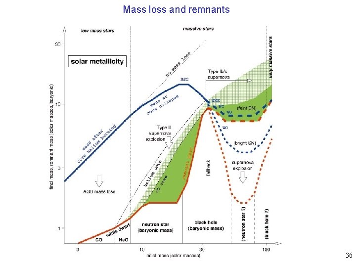 Mass loss and remnants 36 