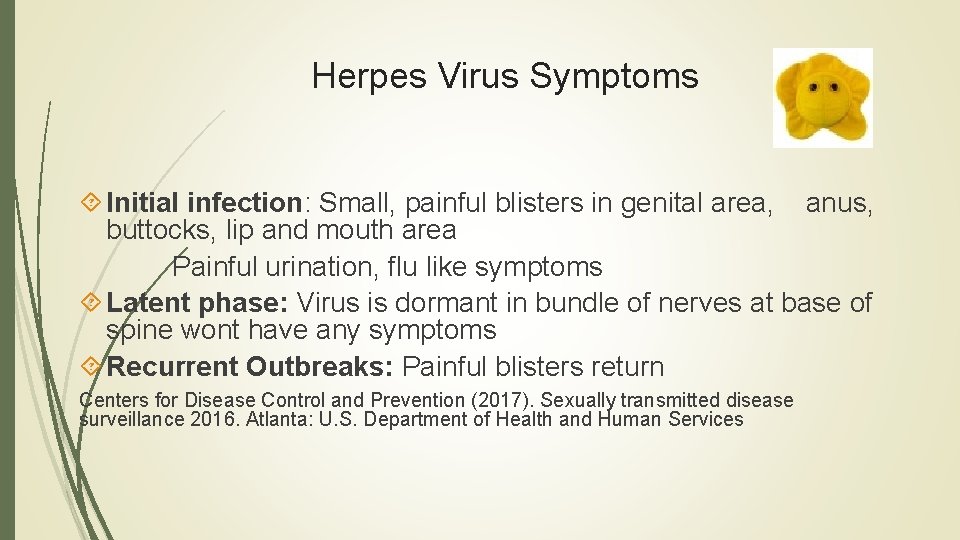Herpes Virus Symptoms Initial infection: Small, painful blisters in genital area, anus, buttocks, lip Herpes Virus Symptoms Initial infection: Small, painful blisters in genital area, anus, buttocks, lip
