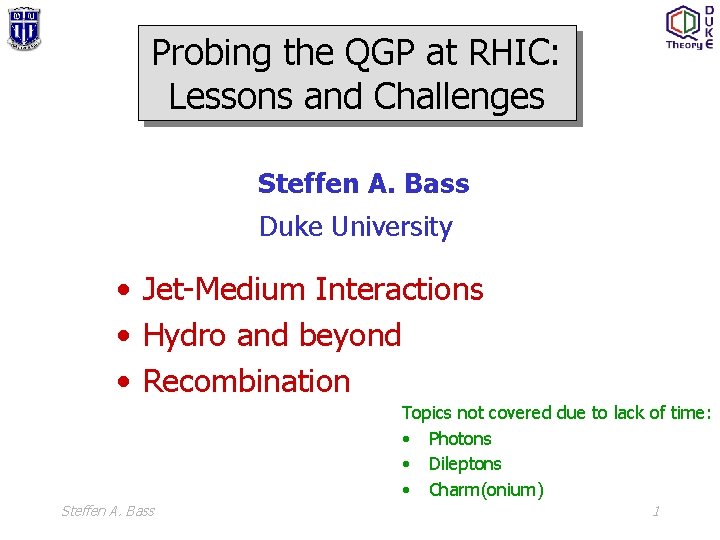 Probing the QGP at RHIC: Lessons and Challenges Steffen A. Bass Duke University •