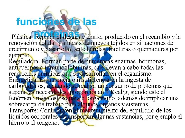 funciones de las Plástica: proteínas Reparar el desgaste diario, producido en el recambio y