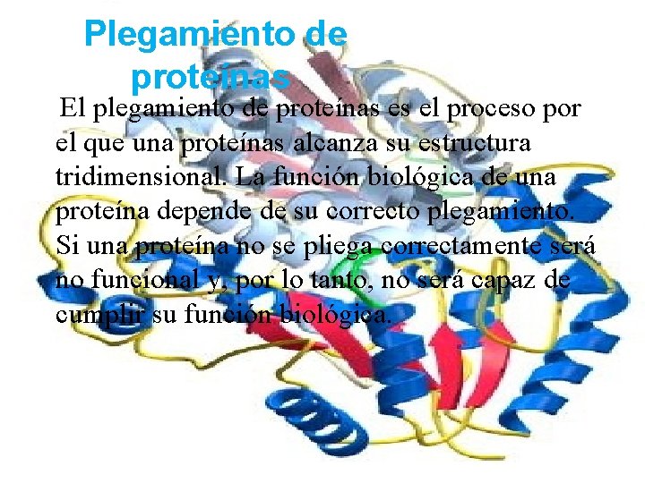 Plegamiento de proteínas El plegamiento de proteínas es el proceso por el que una