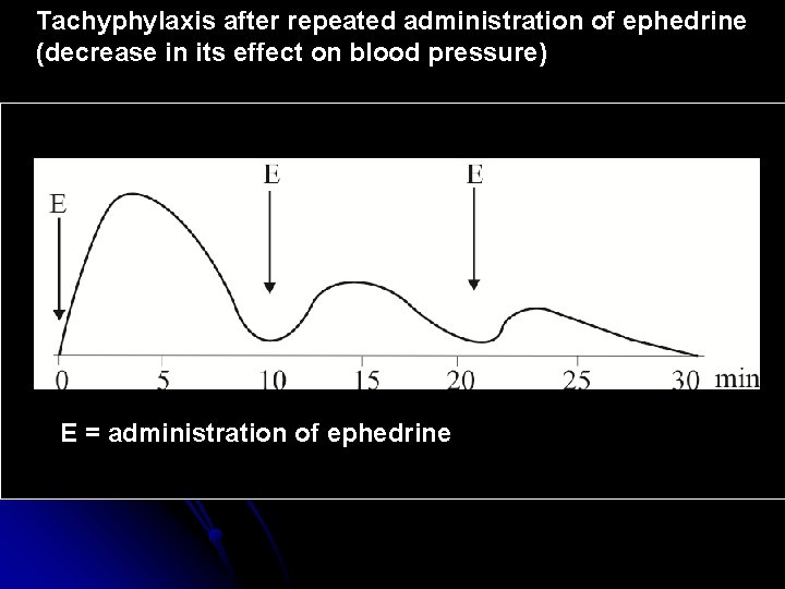 Tachyphylaxis after repeated administration of ephedrine (decrease in its effect on blood pressure) E