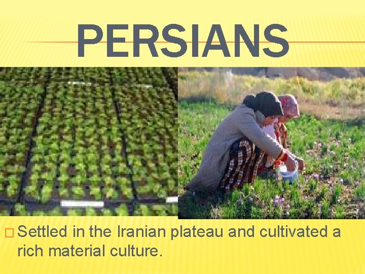 PERSIANS � Settled in the Iranian plateau and cultivated a rich material culture. PERSIANS � Settled in the Iranian plateau and cultivated a rich material culture.