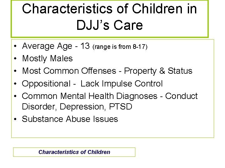 Characteristics of Children in DJJ’s Care • • • Average Age - 13 (range