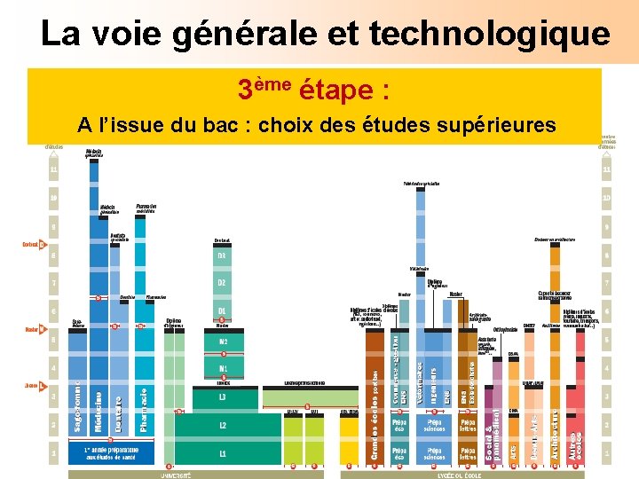 La voie générale et technologique 3ème étape : A l’issue du bac : choix