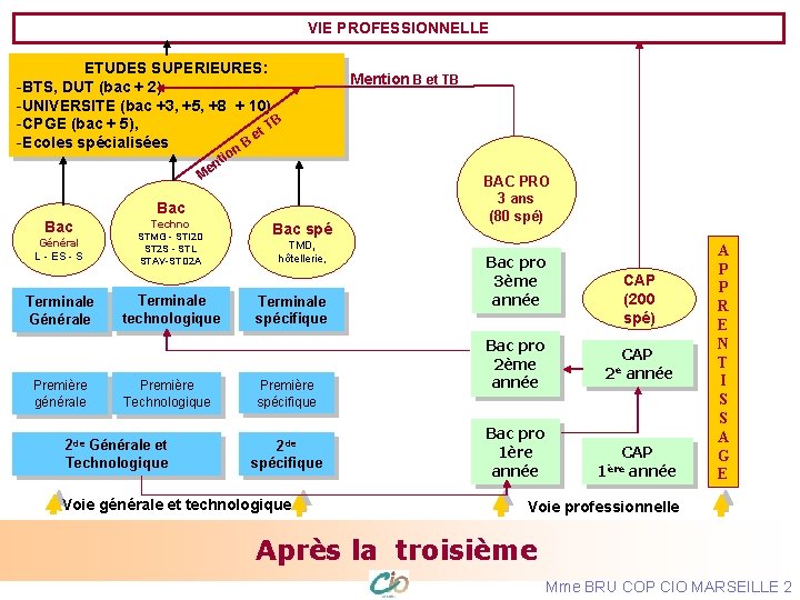 VIE PROFESSIONNELLE ETUDES SUPERIEURES: -BTS, DUT (bac + 2) -UNIVERSITE (bac +3, +5, +8